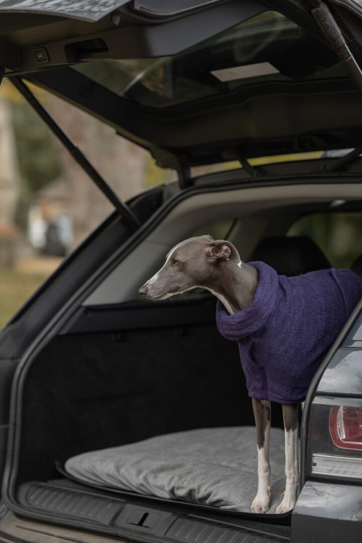 Ruff & Tumble Dog Drying Coat Classic Blackberry